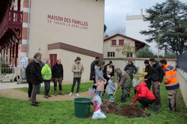 Lancement du projet de forêt urbaine