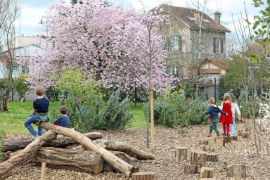 Plan de verdissement des cours d’écoles