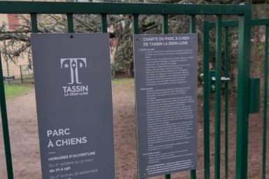 Création d’un parc à chiens